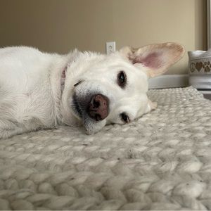 Meet your Posher, Ella